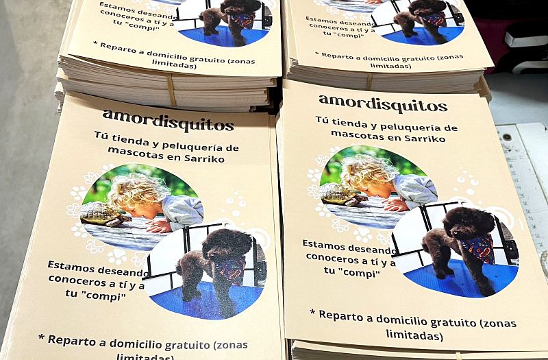 Flyers y folletos, trabajo real de esta imprenta